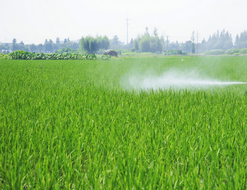 QQ截圖20230424154901.png QQ截圖20230424154901.png